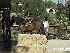 horse Rider Yasmin Scott rides a hung Stallion